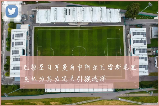 巴黎圣日耳曼看中阿尔瓦雷斯恩里克认为其为完美引援选择